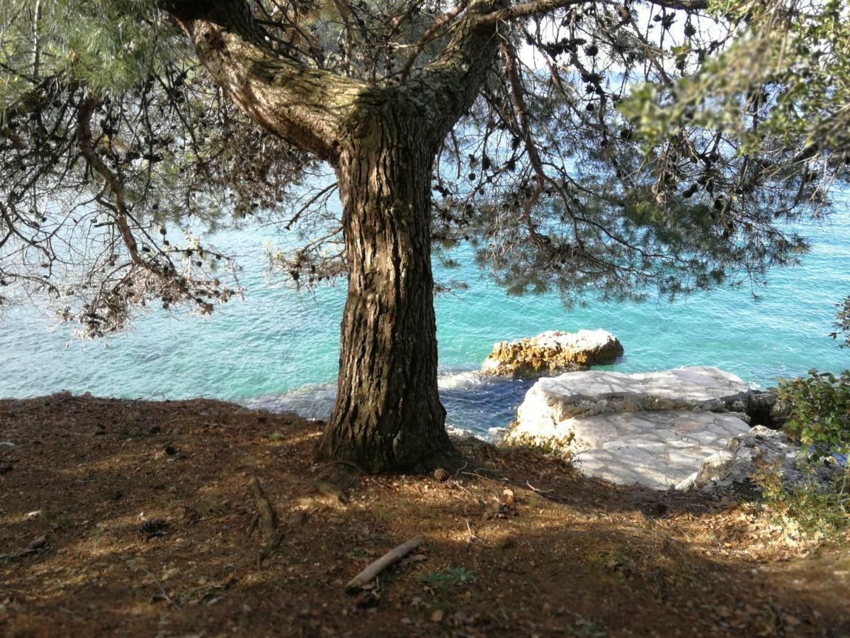 App Roko 2 Διαμέρισμα Πόρετς Εξωτερικό φωτογραφία
