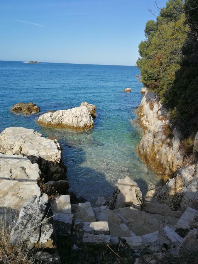 App Roko 2 Διαμέρισμα Πόρετς Εξωτερικό φωτογραφία